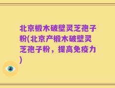 北京椴木破壁灵芝孢子粉(北京产椴木破壁灵芝孢子粉，提高免疫力)