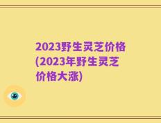 2023野生灵芝价格(2023年野生灵芝价格大涨)