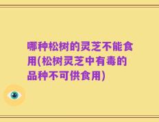 哪种松树的灵芝不能食用(松树灵芝中有毒的品种不可供食用)