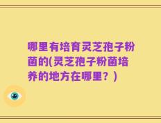 哪里有培育灵芝孢子粉菌的(灵芝孢子粉菌培养的地方在哪里？)