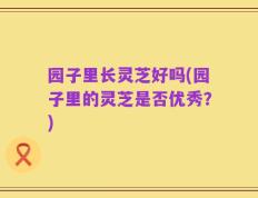 园子里长灵芝好吗(园子里的灵芝是否优秀？)