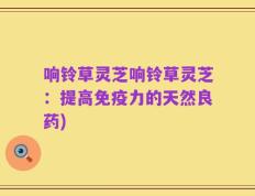 响铃草灵芝响铃草灵芝：提高免疫力的天然良药)