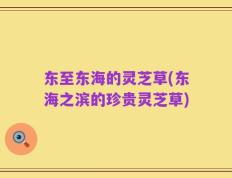 东至东海的灵芝草(东海之滨的珍贵灵芝草)