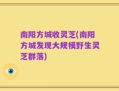 南阳方城收灵芝(南阳方城发现大规模野生灵芝群落)