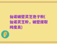 仙诺破壁灵芝孢子粉(仙诺灵芝粉，破壁提取纯度高)