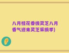 八月桂花香拔灵芝八月香气迎来灵芝采摘季)