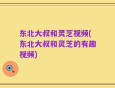 东北大叔和灵芝视频(东北大叔和灵芝的有趣视频)