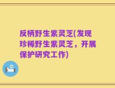 反柄野生紫灵芝(发现珍稀野生紫灵芝，开展保护研究工作)