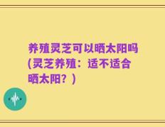 养殖灵芝可以晒太阳吗(灵芝养殖：适不适合晒太阳？)