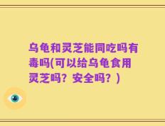 乌龟和灵芝能同吃吗有毒吗(可以给乌龟食用灵芝吗？安全吗？)