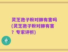 灵芝孢子粉对肺有害吗(灵芝孢子粉对肺有害？专家评析)