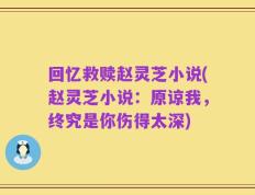 回忆救赎赵灵芝小说(赵灵芝小说：原谅我，终究是你伤得太深)