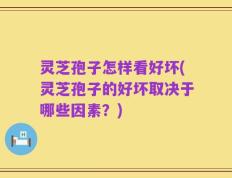 灵芝孢子怎样看好坏(灵芝孢子的好坏取决于哪些因素？)