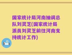国家统计局河南抽调总队刘灵芝(国家统计局派员刘灵芝前往河南支持统计工作)