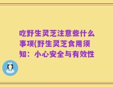 吃野生灵芝注意些什么事项(野生灵芝食用须知：小心安全与有效性