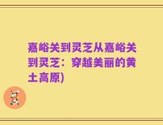 嘉峪关到灵芝从嘉峪关到灵芝：穿越美丽的黄土高原)