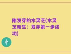 刚发芽的木灵芝(木灵芝新生：发芽第一步成功)