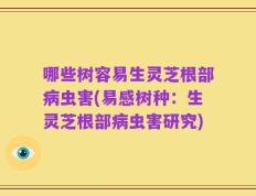 哪些树容易生灵芝根部病虫害(易感树种：生灵芝根部病虫害研究)