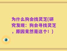 为什么狗会找灵芝(研究发现：狗会寻找灵芝，原因竟然是这个！)