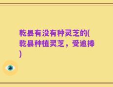 乾县有没有种灵芝的(乾县种植灵芝，受追捧)