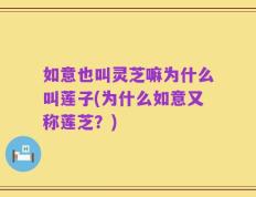 如意也叫灵芝嘛为什么叫莲子(为什么如意又称莲芝？)