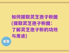 如何提取灵芝孢子粉图(提取灵芝孢子粉图：了解灵芝孢子粉的功效与用途)