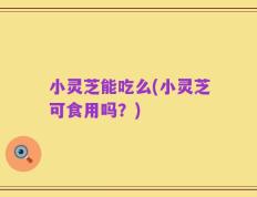 小灵芝能吃么(小灵芝可食用吗？)