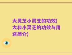 大灵芝小灵芝的功效(大和小灵芝的功效与用途简介)
