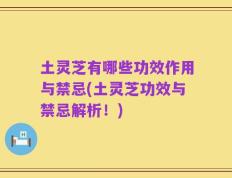 土灵芝有哪些功效作用与禁忌(土灵芝功效与禁忌解析！)