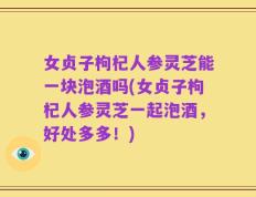 女贞子枸杞人参灵芝能一块泡酒吗(女贞子枸杞人参灵芝一起泡酒，好处多多！)