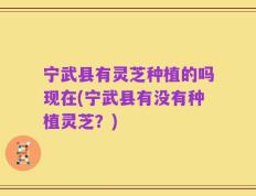 宁武县有灵芝种植的吗现在(宁武县有没有种植灵芝？)