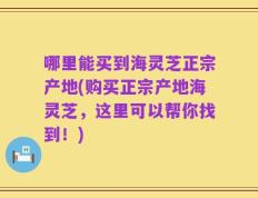 哪里能买到海灵芝正宗产地(购买正宗产地海灵芝，这里可以帮你找到！)