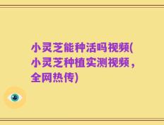 小灵芝能种活吗视频(小灵芝种植实测视频，全网热传)