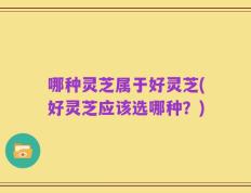 哪种灵芝属于好灵芝(好灵芝应该选哪种？)