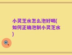小灵芝水怎么泡好喝(如何正确泡制小灵芝水)
