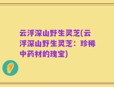 云浮深山野生灵芝(云浮深山野生灵芝：珍稀中药材的瑰宝)