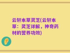 云轩本草灵芝(云轩本草：灵芝详解，神奇药材的营养功效)