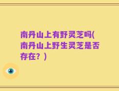 南丹山上有野灵芝吗(南丹山上野生灵芝是否存在？)