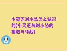 小灵芝刘小怂怎么认识的(小灵芝与刘小怂的相遇与缘起)