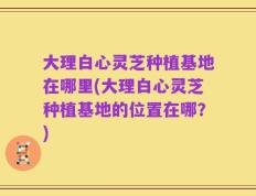 大理白心灵芝种植基地在哪里(大理白心灵芝种植基地的位置在哪？)