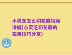 小灵芝怎么切花瓣视频讲解(小灵芝切花瓣的实用技巧分享)