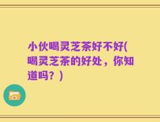 小伙喝灵芝茶好不好(喝灵芝茶的好处，你知道吗？)