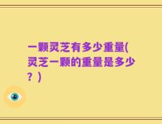 一颗灵芝有多少重量(灵芝一颗的重量是多少？)