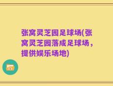 张窝灵芝园足球场(张窝灵芝园落成足球场，提供娱乐场地)