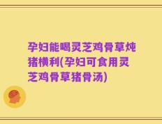 孕妇能喝灵芝鸡骨草炖猪横利(孕妇可食用灵芝鸡骨草猪骨汤)