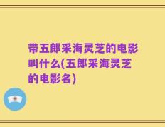 带五郎采海灵芝的电影叫什么(五郎采海灵芝的电影名)