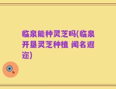 临泉能种灵芝吗(临泉开垦灵芝种植 闻名遐迩)
