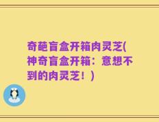 奇葩盲盒开箱肉灵芝(神奇盲盒开箱：意想不到的肉灵芝！)