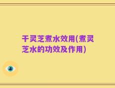 干灵芝煮水效用(煮灵芝水的功效及作用)