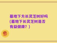 墓地下方长灵芝树好吗(墓地下长灵芝树是否有益健康？)